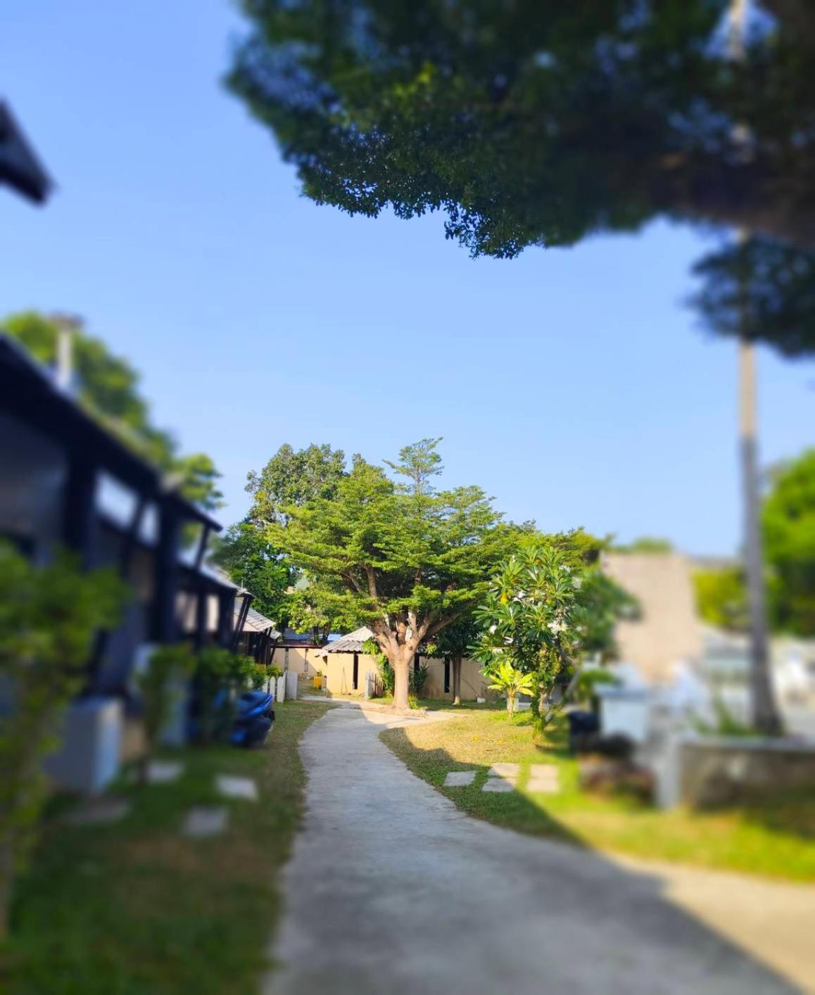 Siri Maya Garden Home Samui 苏梅岛 外观 照片